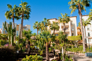 Apartamento №6431 en Torrevieja